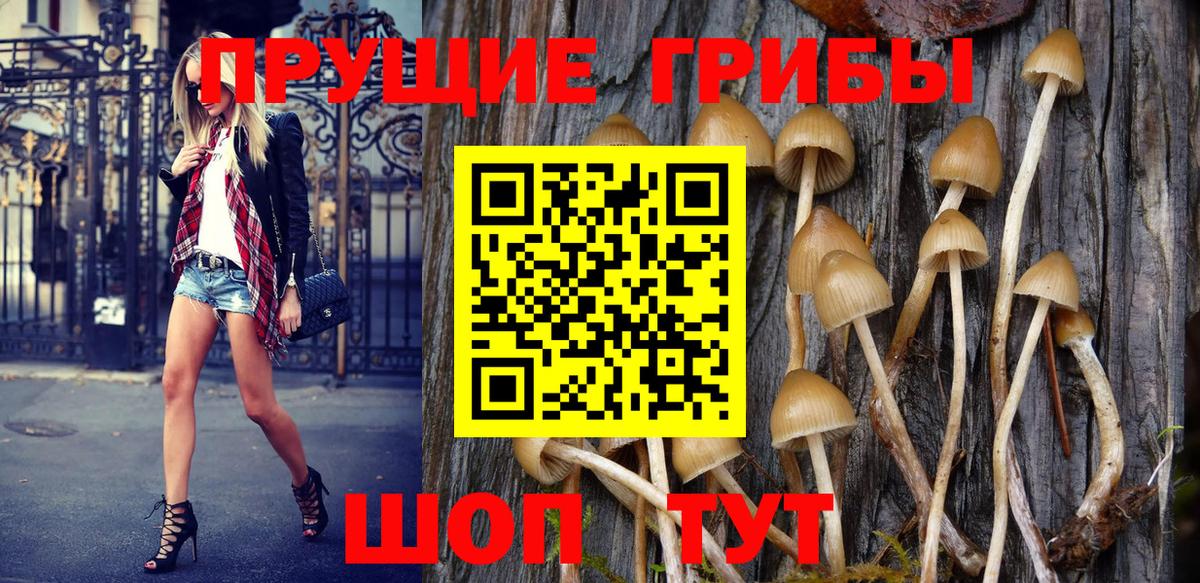 Ногинск  Псилоцибиновые грибы MAGIC MUSHROOMS  Вход с VPN 